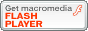 Flash�v���[���[�@�_�E�����[�h�o�i�[